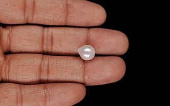 Keshi Pearl - 5.30 Carat Prime Quality SSP-9090
