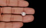 Keshi Pearl - 5.30 Carat Prime Quality SSP-9090