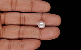 Keshi Pearl - 5.30 Carat Prime Quality SSP-9090