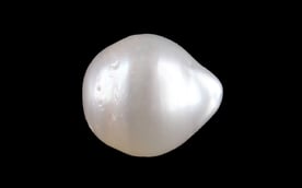 Keshi Pearl - 5.30 Carat Prime Quality SSP-9090