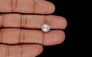 Keshi Pearl - 5.46 Carat Limited Quality SSP-9088