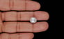 Keshi Pearl - 6.76 Carat Limited Quality SSP-9045