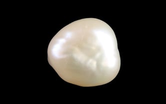 Keshi Pearl - 7.46 Carat Limited Quality SSP-8981