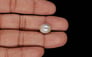 Keshi Pearl - 7.52 Carat Limited Quality SSP-8991