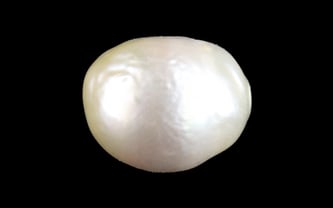 Keshi Pearl - 7.52 Carat Limited Quality SSP-8991