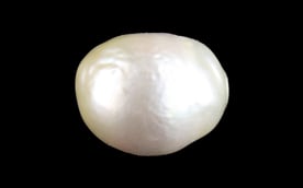 Keshi Pearl - 7.52 Carat Limited Quality SSP-8991