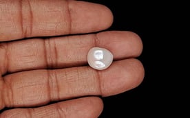 Keshi Pearl - 7.78 Carat Limited Quality SSP-8975