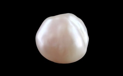 Keshi Pearl - 7.82 Carat Limited Quality SSP-8976
