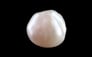 Keshi Pearl - 7.82 Carat Limited Quality SSP-8976