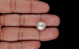 Keshi Pearl - 8.25 Carat Limited Quality SSP-9040