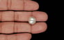 Keshi Pearl - 8.30 Carat Limited Quality SSP-8994