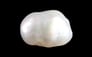 Keshi Pearl - 9.64 Carat Limited Quality SSP-9052