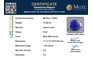 ll-15691-certificate-mgtlll-15691-26251