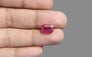 Mozambique Ruby - 3.66 Carat Prime Quality BR-7177