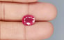 Mozambique Ruby - 4.10 Carat Limited Quality BR-7310