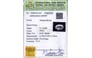 nz-17194-certificate-nz-17194-28815
