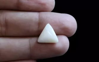 Opal - OPL 11084 (Origin - Australian) Limited - Quality