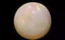 Opal - OPL 11127 (Origin - Ethiopian) Prime - Quality