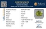 pdt-14551-certificate-mgtlpdt-14551-42503