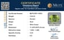 pdt-14553-certificate-mgtlpdt-14553-91680
