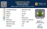 pdt-14555-certificate-mgtlpdt-14555-92476