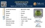 pdt-14559-certificate-mgtlpdt-14559-76305