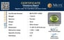 pdt-14560-certificate-mgtlpdt-14560-19480