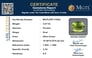 pdt-14563-certificate-mgtlpdt-14563-51202