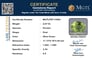 pdt-14564-certificate-mgtlpdt-14564-91098