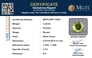 pdt-14567-certificate-mgtlpdt-14567-99655