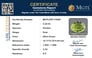 pdt-14569-certificate-mgtlpdt-14569-88510
