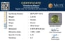 pdt-14572-certificate-mgtlpdt-14572-94733