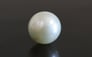 Pearl - SSP 8578 (Origin - South Sea) Fine - Quality