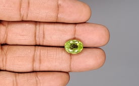 Peridot - 5.55 Carat Prime Quality PDT-14526