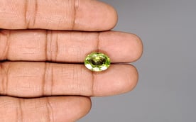 Peridot - 5.99 Carat Prime Quality PDT-14529
