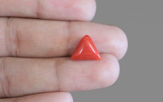 Red Coral - TC 5178 (Origin - Italy) Prime - Quality