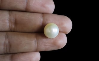 South Sea Pearl - 10.09 Carat Prime Quality SSP-8639