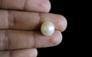 South Sea Pearl - 10.09 Carat Prime Quality SSP-8639