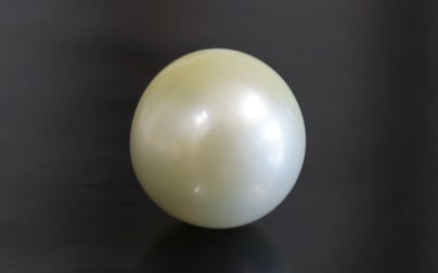 South Sea Pearl - 10.09 Carat Prime Quality SSP-8639
