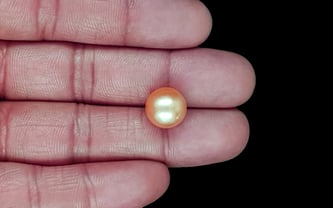 South Sea Pearl - 10.10 Carat Prime Quality SSP-8889