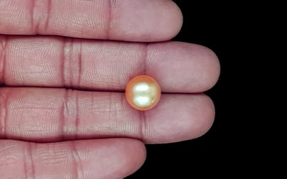 South Sea Pearl - 10.10 Carat Prime Quality SSP-8889