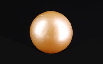 South Sea Pearl - 10.10 Carat Prime Quality SSP-8889