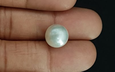 South Sea Pearl - 10.11 Carat Prime Quality SSP-8654