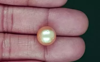 South Sea Pearl - 10.25 Carat Prime Quality SSP-8894