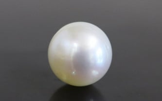 South Sea Pearl - 10.28 Carat Prime Quality SSP-8599