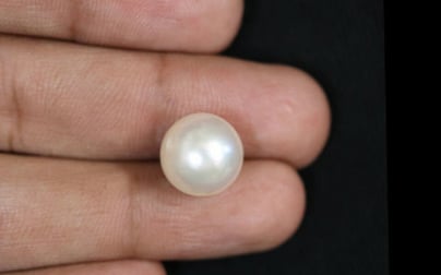 South Sea Pearl - 10.49 Carat Prime Quality SSP-8600