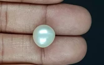 South Sea Pearl - 10.59 Carat Prime Quality SSP-8842