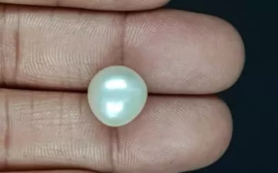 South Sea Pearl - 10.59 Carat Prime Quality SSP-8842