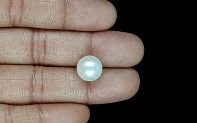 South Sea Pearl - 10.73 Carat Prime Quality SSP-8850