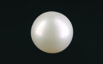 South Sea Pearl - 10.73 Carat Prime Quality SSP-8850